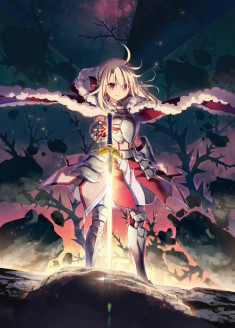 Fate/kaleid liner Prisma☆Illya: Licht - Namae no Nai Shoujo